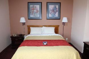 Hotel Super 8 By Wyndham Chenoa Chambre photo